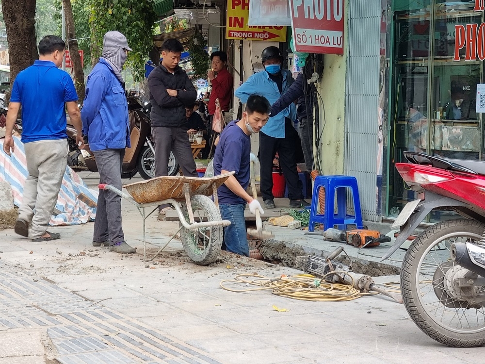 da via he duoc quang cao co tuoi tho 70 nam tai ha noi duoc vai nam lai thay dao boi nham nho