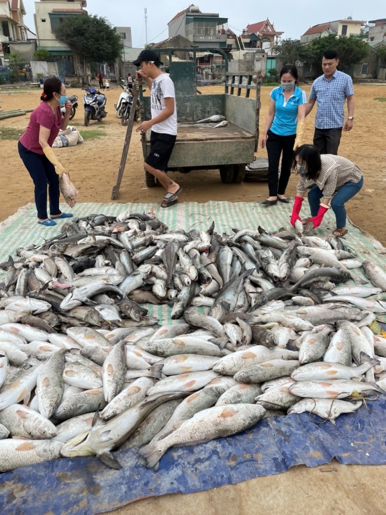 nghi son thanh hoa ca chet bat thuong co quan chuc nang vao cuoc