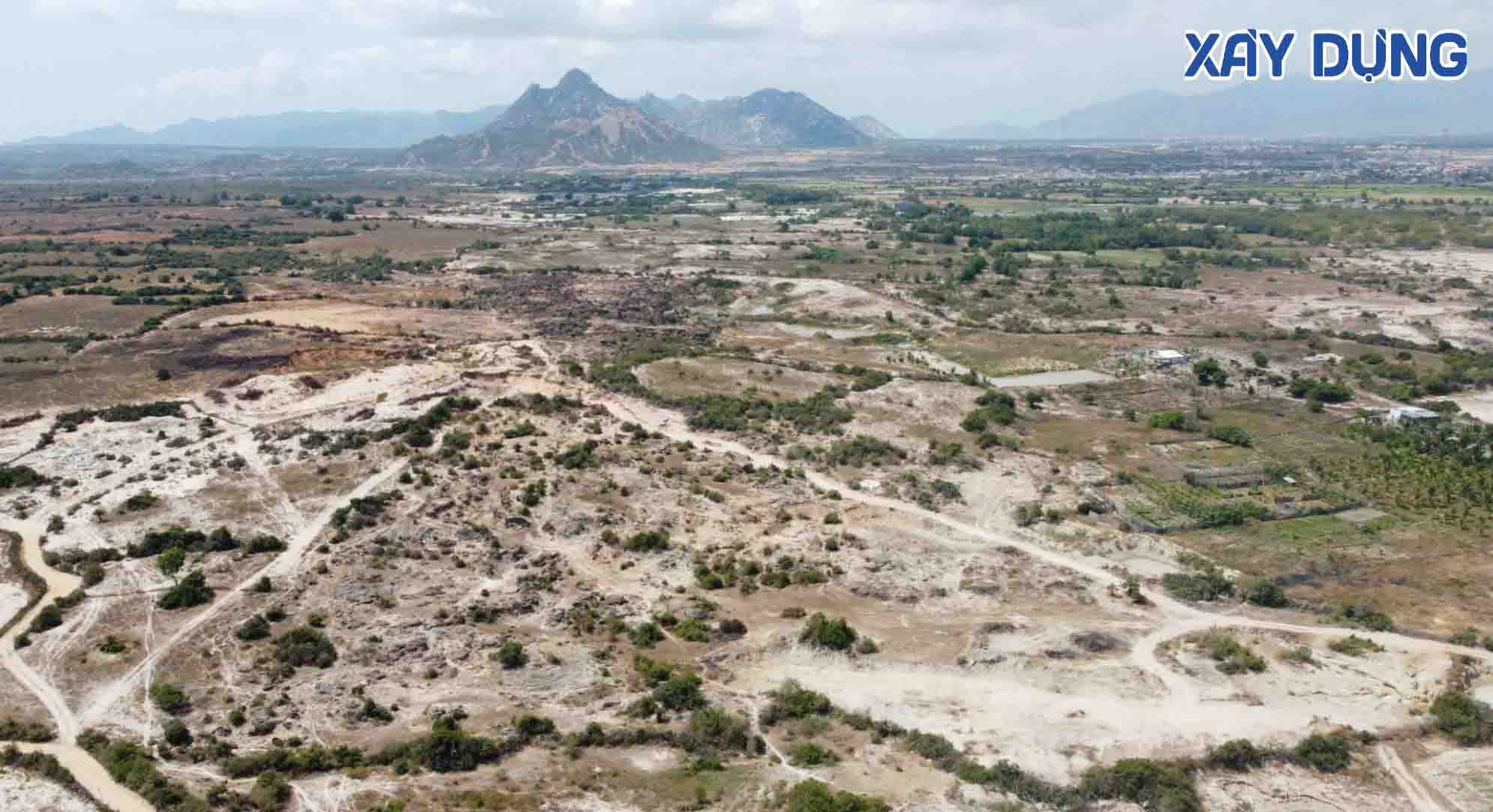 ninh thuan chu tich tinh di kiem tra thuc te va yeu cau bao ve bai da karang