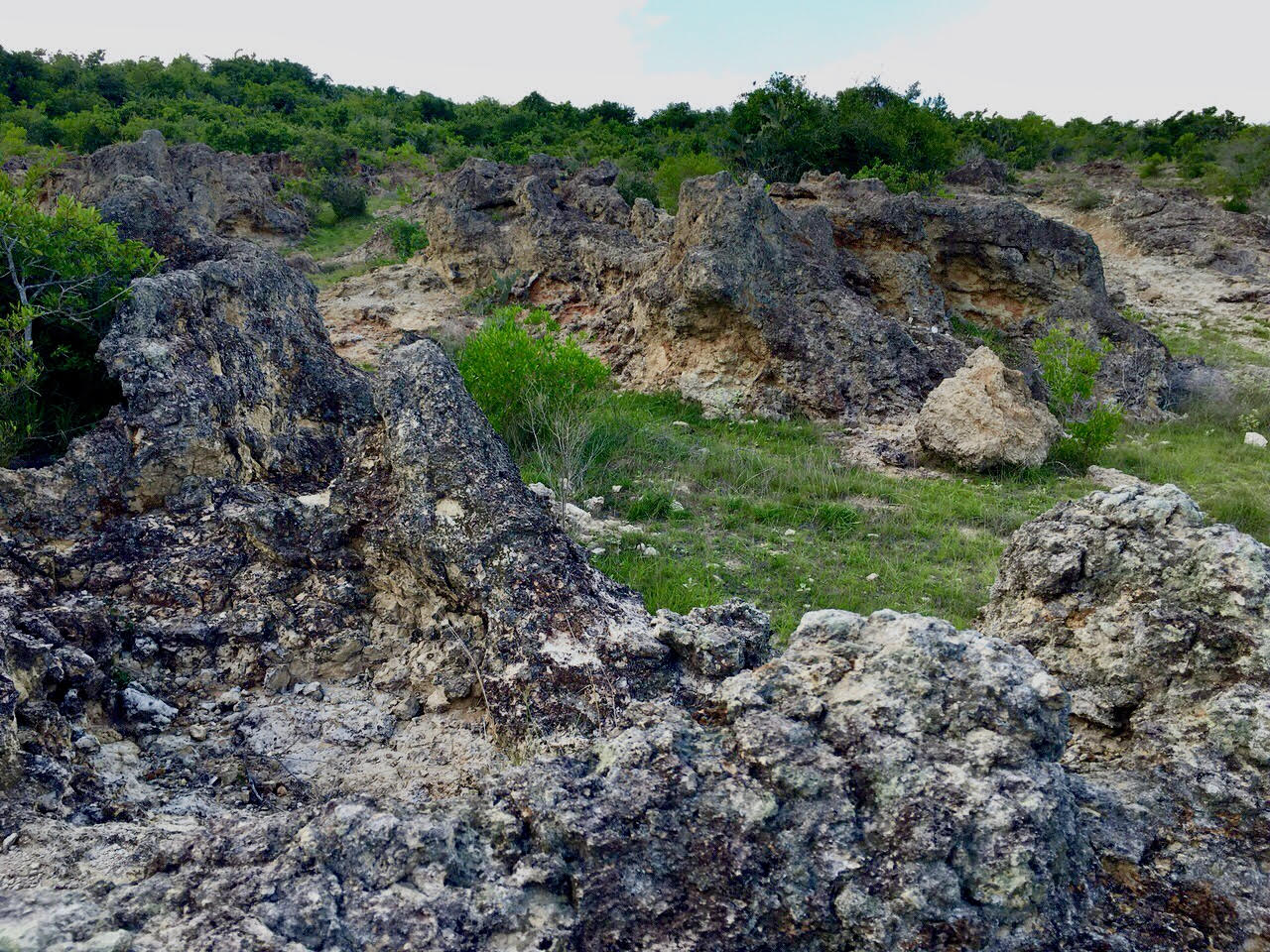 ninh thuan chu tich tinh di kiem tra thuc te va yeu cau bao ve bai da karang