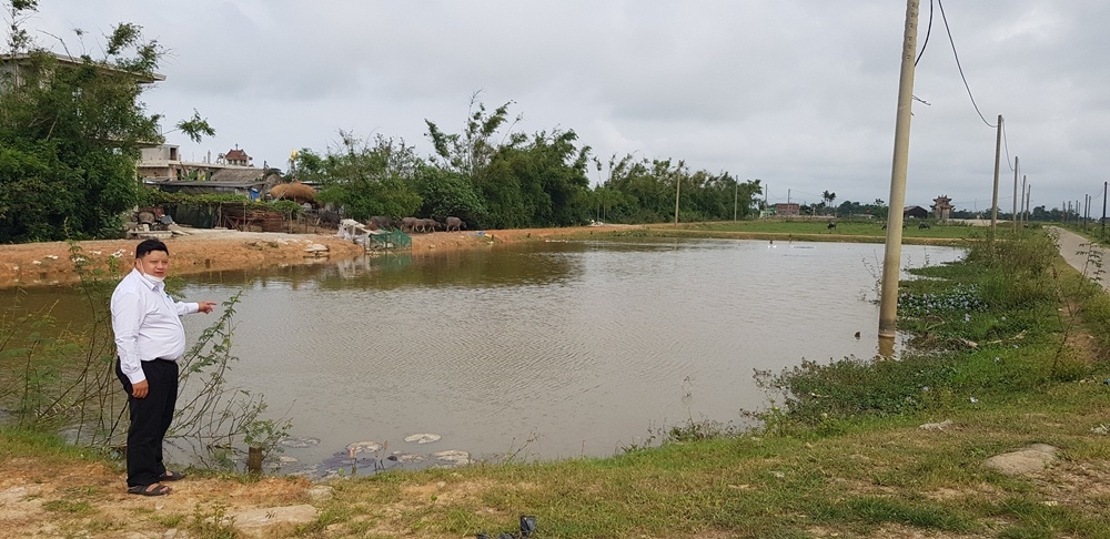 thua thien hue to chuc dau gia thu tien su dung dat roi phot lo dau tu ha tang ky thuat