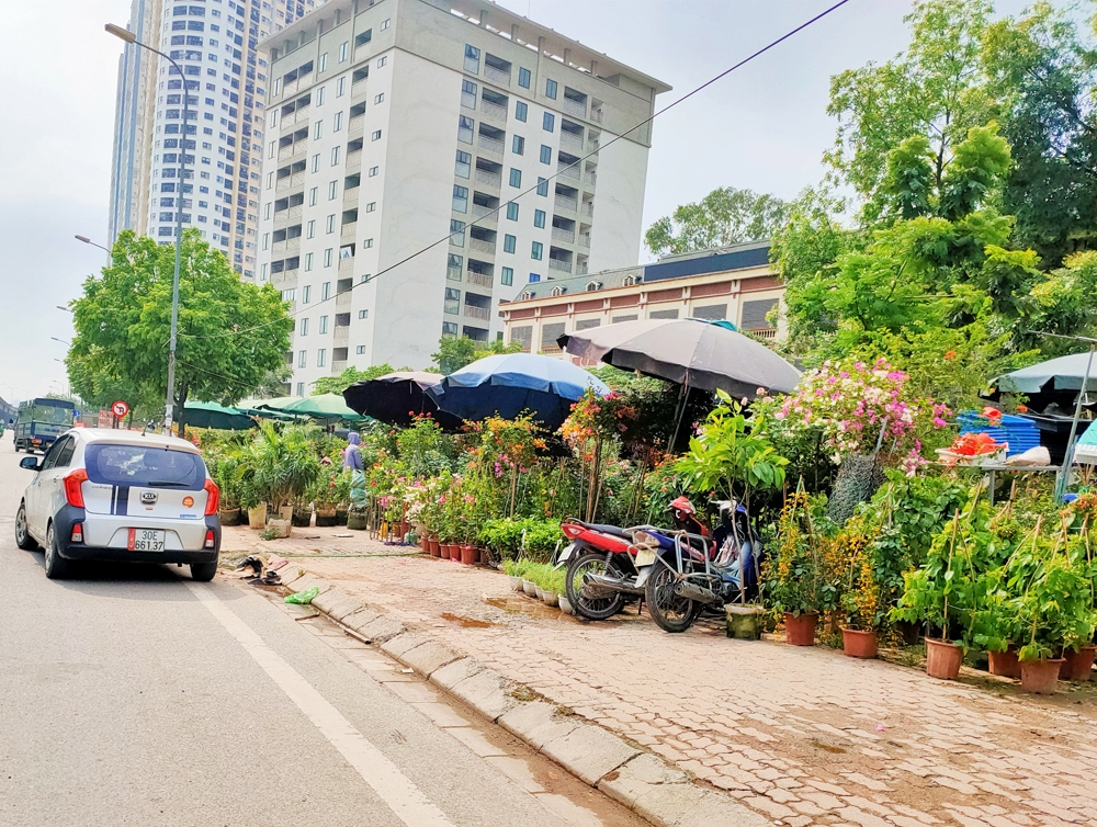 Hà Nội: Vì sao đất quy hoạch dự án lại trở thành nơi kinh doanh, buôn bán?