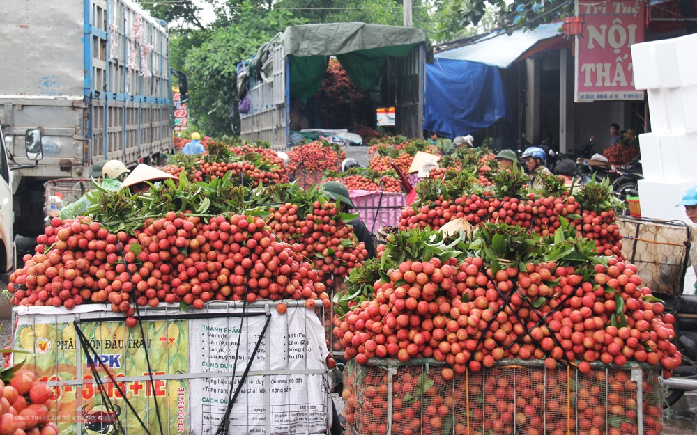 bac giang de nghi chinh phu ho tro tieu thu nong san