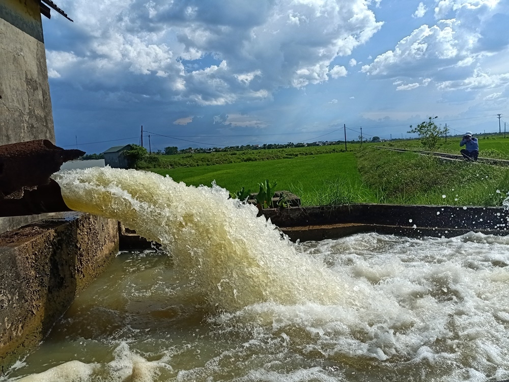 quang tri luon dam bao du dien de vua lua trieu phong them triu hat