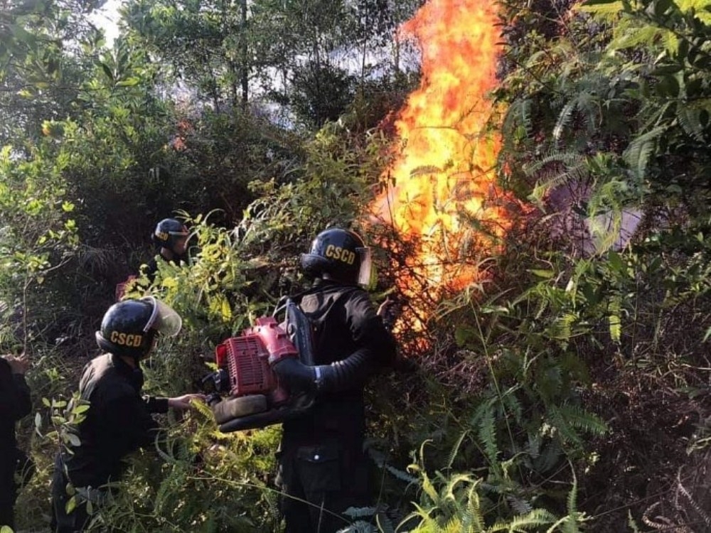 chay rung dien rong nguoi dan xu nghe xuyen dem dam minh giua bien lua cuu rung