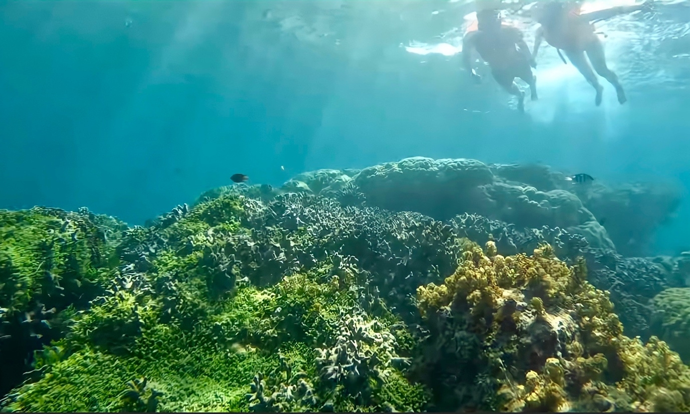 khanh hoa tam dung boi lan bien tai khu vuc hon mun