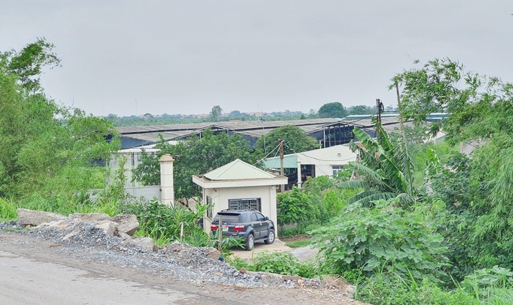 phu xuyen ha noi can lam ro viec sua chua cai tao chuong trai lam noi nuoi mo bo