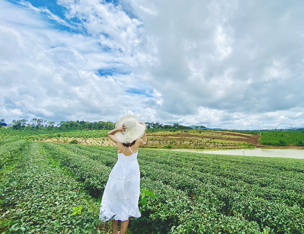 Tìm “ngôi nhà thứ 2” tại thiên đường lý tưởng Di Linh