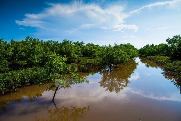 tiem nang pha t trie n du li ch bien ben vung tinh nam dinh