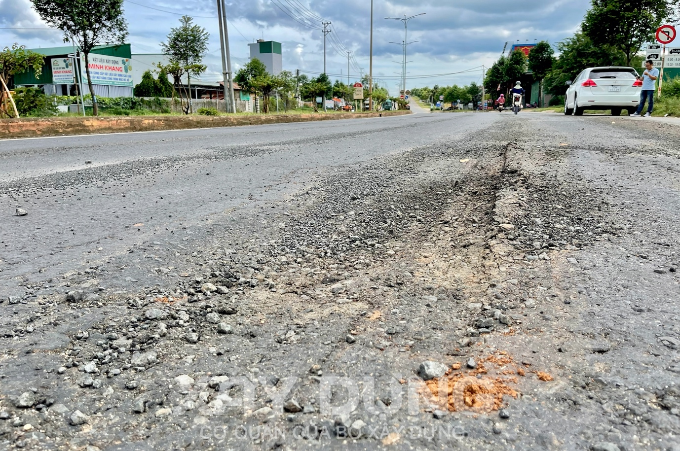 dak lak am anh voi ho ga o voi tren duong tranh tay thanh pho buon ma thuot