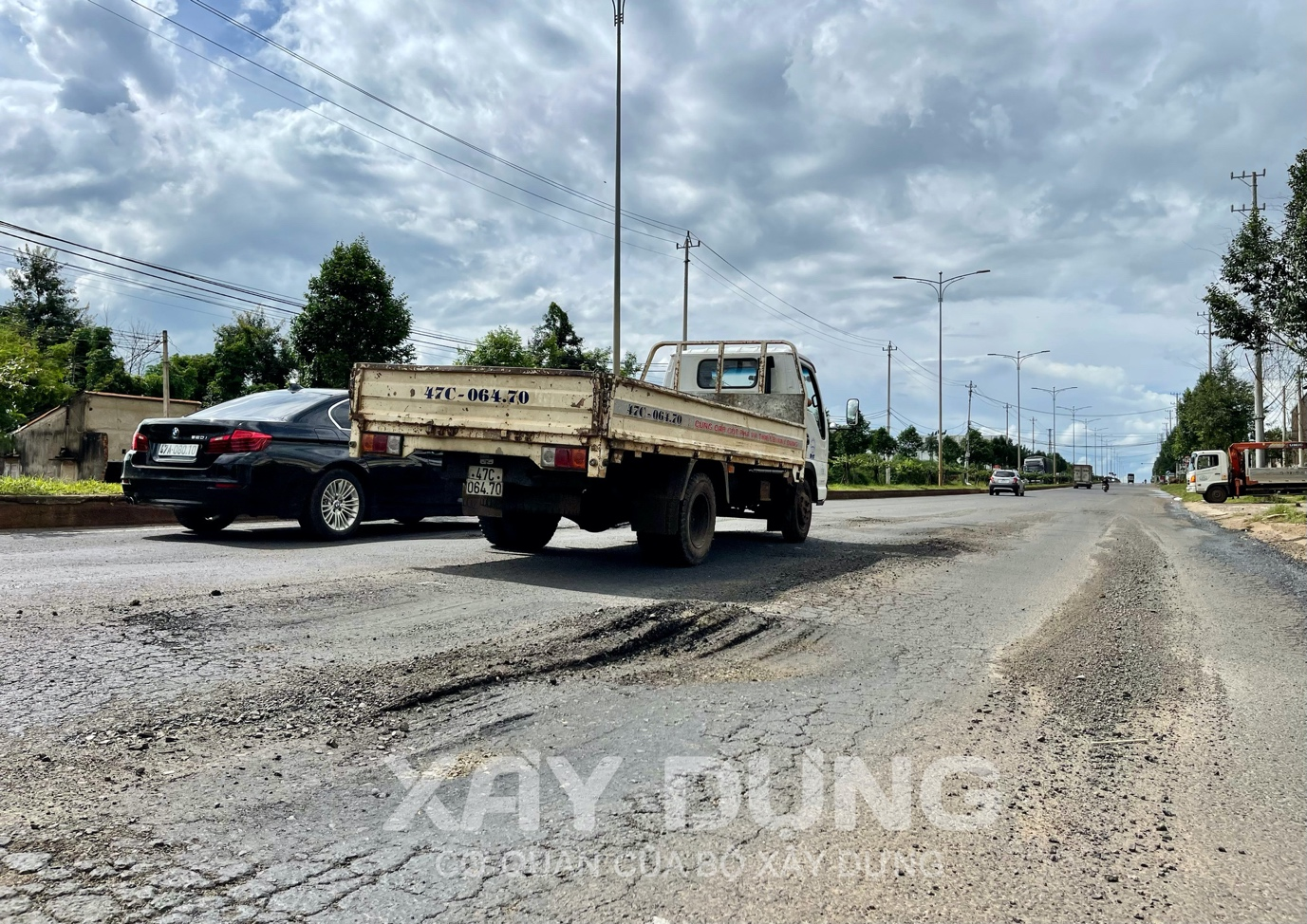 dak lak am anh voi ho ga o voi tren duong tranh tay thanh pho buon ma thuot