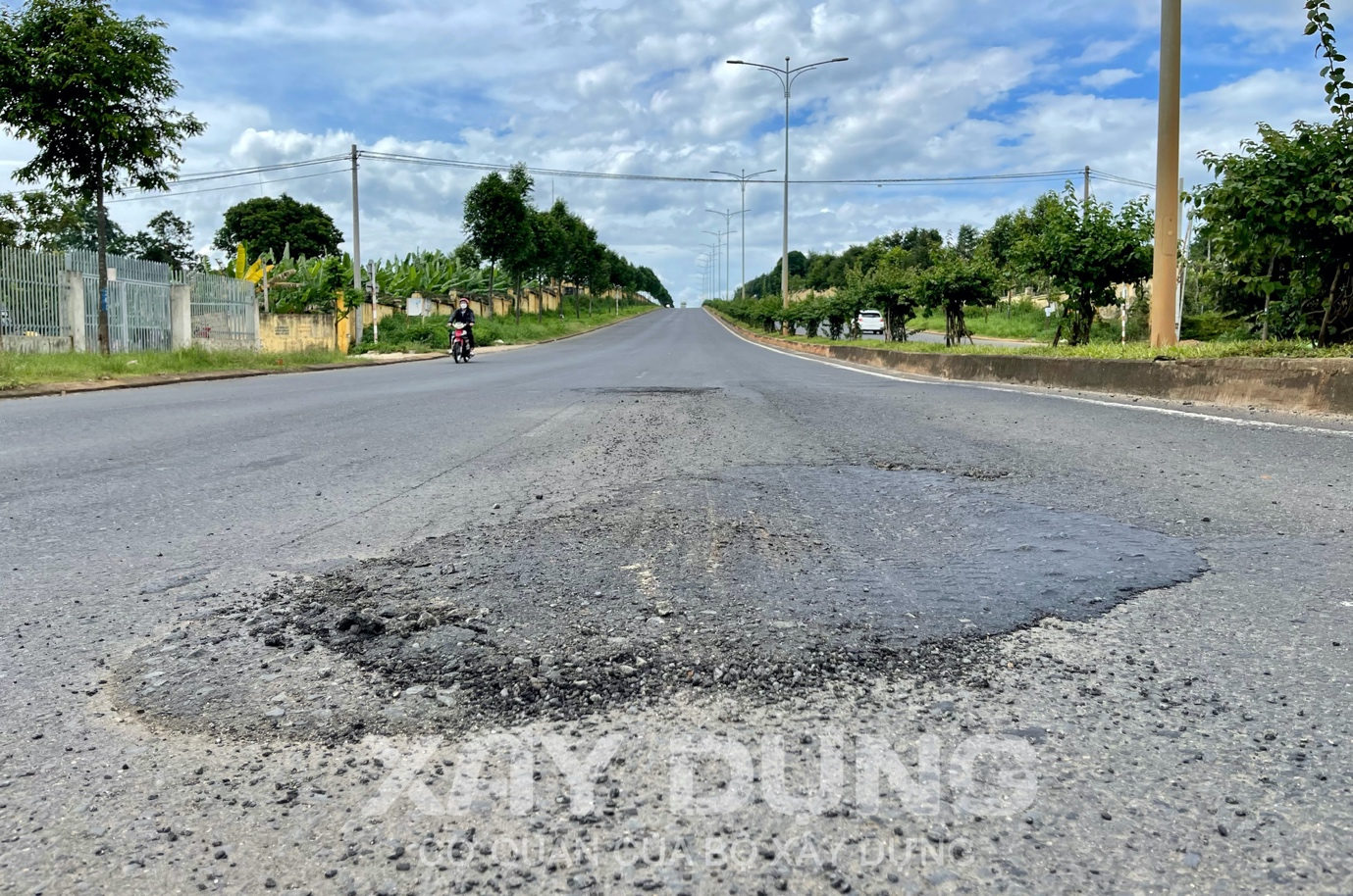 dak lak am anh voi ho ga o voi tren duong tranh tay thanh pho buon ma thuot