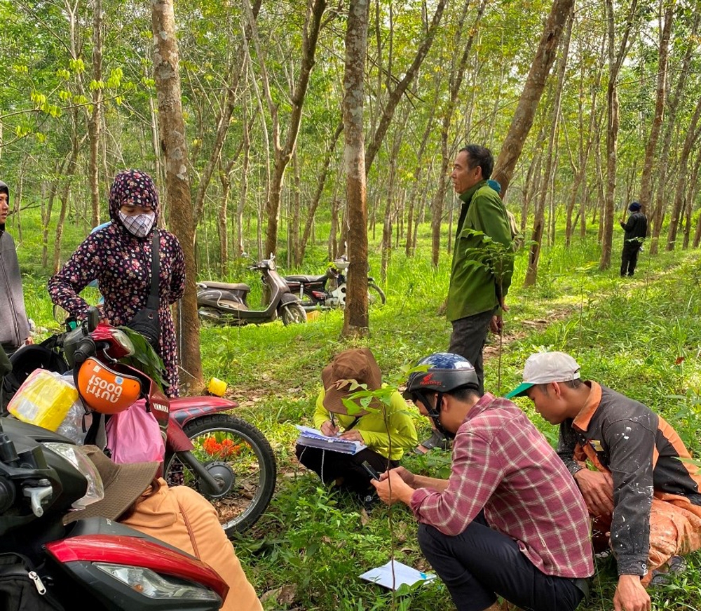 vinh linh quang tri hoan thanh giai phong mat bang du an duong cao toc bac nam theo dung ke hoach