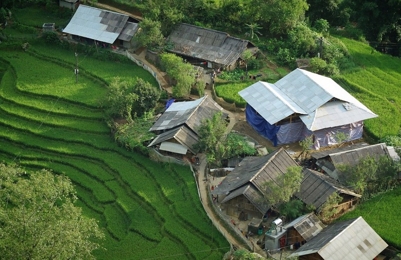 thuc day tang truong xanh chuyen doi nang luong chuyen doi so