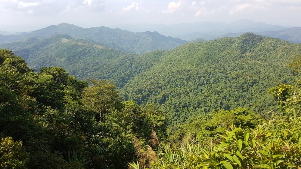 ba che vanh dai xanh lon nhat vung dong bac bo