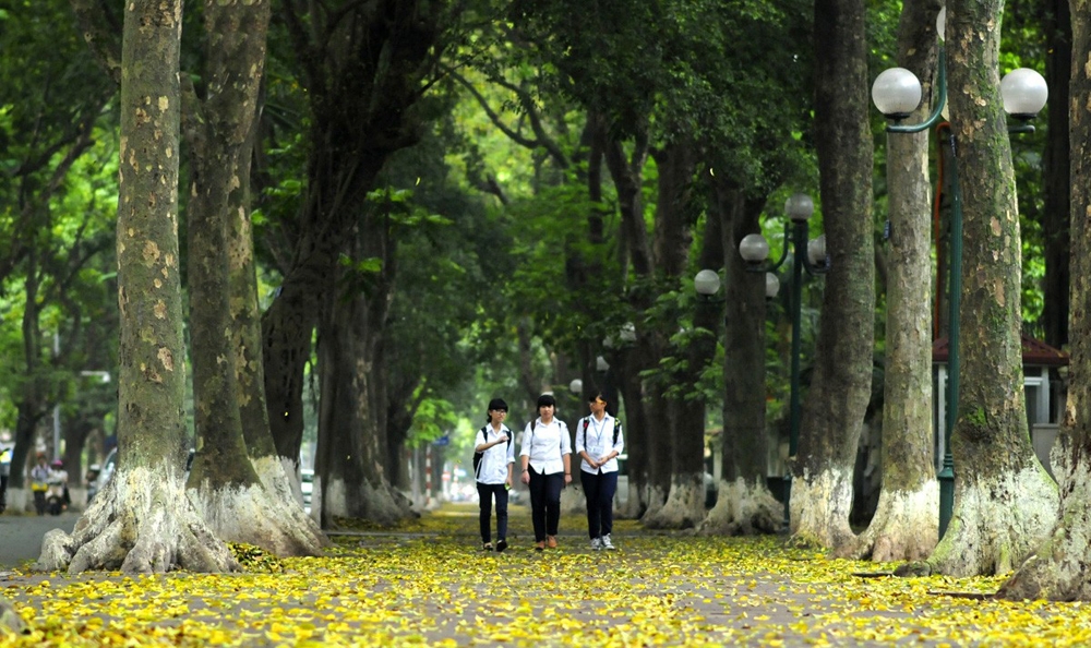 tinh nguoi ha noi ra doi trong bao dich