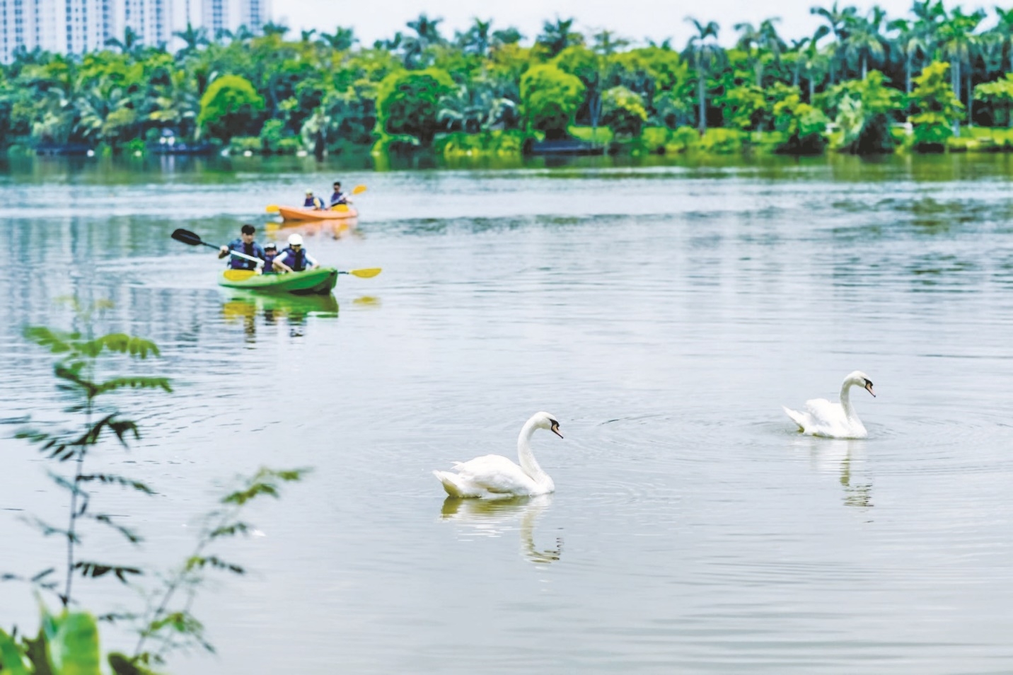 bi mat cua nhung nguoi duoc thien nhien chua lanh o ecopark