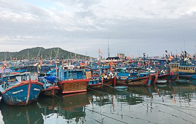 khanh hoa tap trung ung pho voi bao so 12