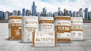 VICEM Hà Tiên chi gần 548 tỷ đồng trả cổ tức cho cổ đông