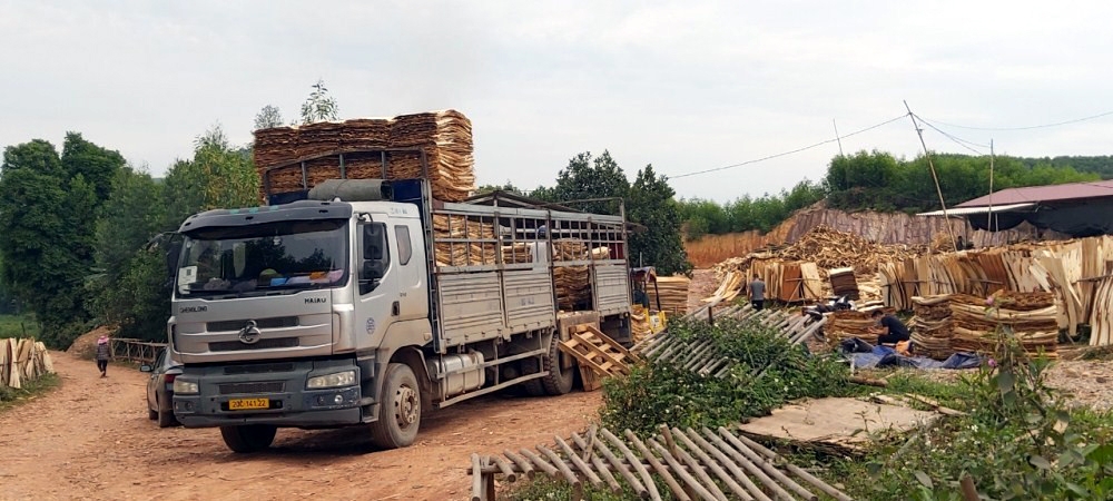 phu binh thai nguyen nan san gat dat bua bai dien ra cong khai truoc su tho o cua chinh quyen dia phuong