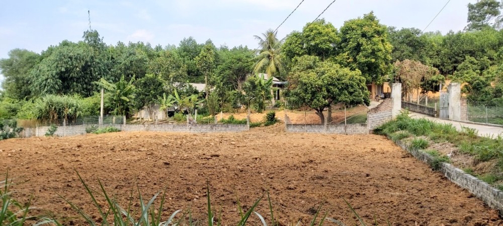 phu binh thai nguyen nan san gat dat bua bai dien ra cong khai truoc su tho o cua chinh quyen dia phuong