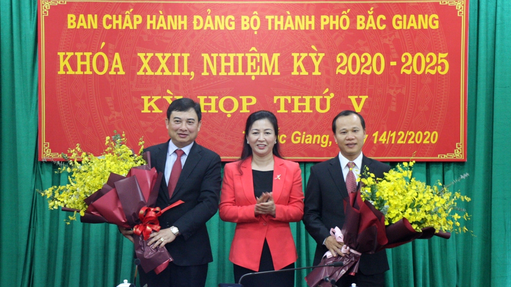 dong chi vu tri hai duoc bau giu chuc bi thu thanh uy bac giang