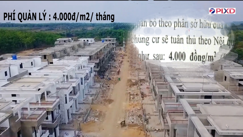 dong nai khoc rong khi mua nha du an khu dan cu tan thinh