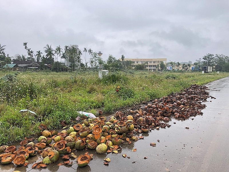 quang ngai yeu cau ra soat danh gia kha nang dau gia thanh cong doi voi 116 lo dat tai khu dan cu truc duong bau giang cau moi