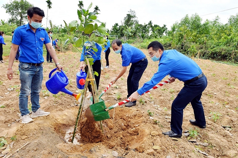 bsr ra quan trong cay tai cac diem di tich lich su van hoa tinh quang ngai