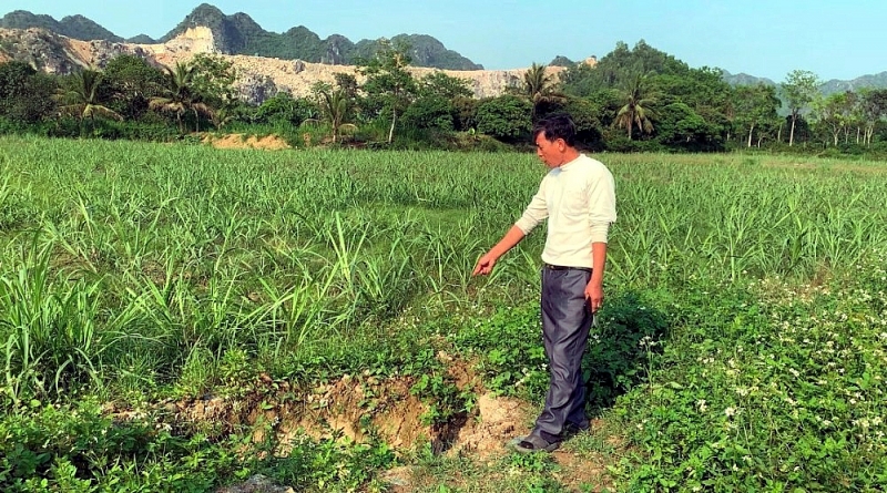 thanh hoa co hay khong viec nha may xi mang long son lam anh huong den doi song cua nguoi dan