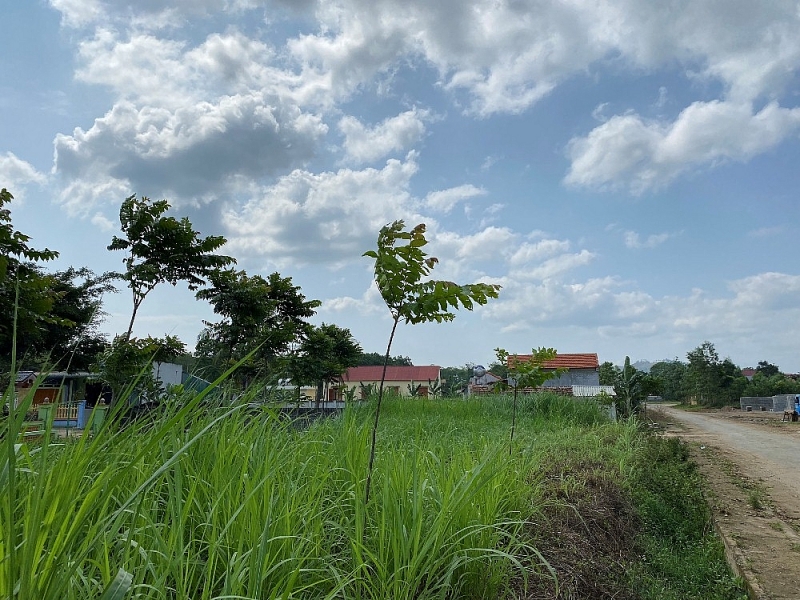 cam thuy thanh hoa nop tien mua dat cho xa hon 3 nam nguoi dan dai co cho so do