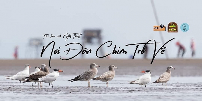 dang dien ra trien lam anh noi dan chim tro ve dam chat thien nhien va nghe thuat tai hoi an