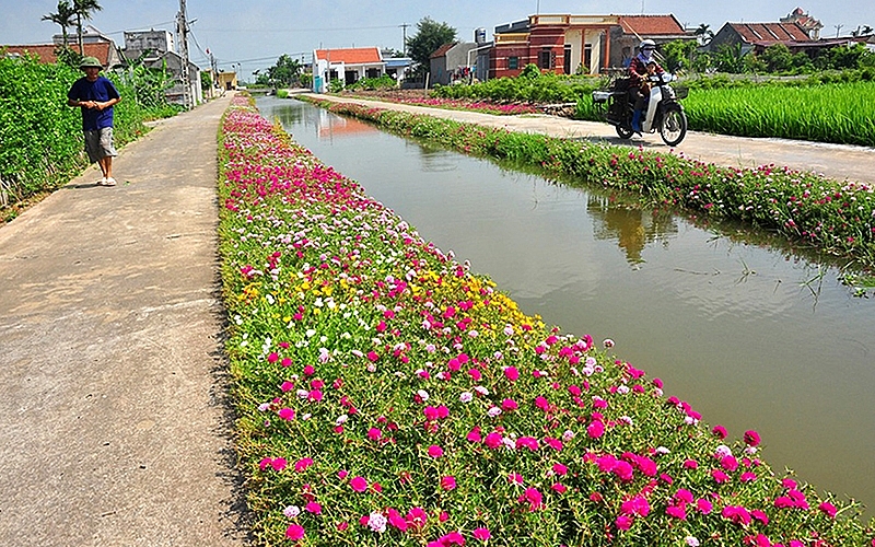 hai hau nam dinh xay dung nong thon moi nang cao kieu mau tu khai thac noi luc