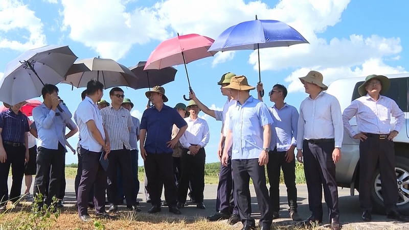 quang binh ra soat chuyen muc dich su dung dat rung phuc vu thi cong cao toc bac nam