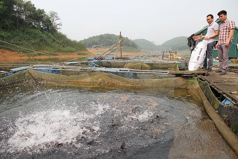 dang bo tinh yen bai mot nhiem ky voi nhieu thanh tuu noi bat