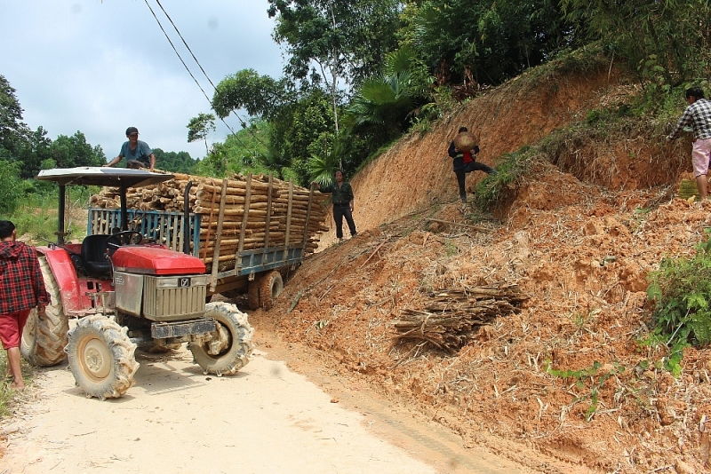 thanh hoa ai chiu trach nhiem ve du an giao thong tren 40 ty phai dung thi cong vo thoi han