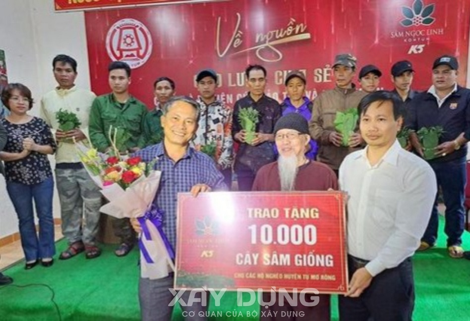 kon tum tang 10000 cay giong sam ngoc linh tri gia 3 ty dong cho nguoi dan ngheo tai huyen tu mo rong