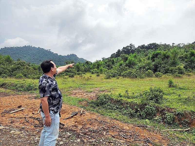 ba thuoc thanh hoa bo qua cac quy dinh chuyen doi sai luat hon 6ha dat rung