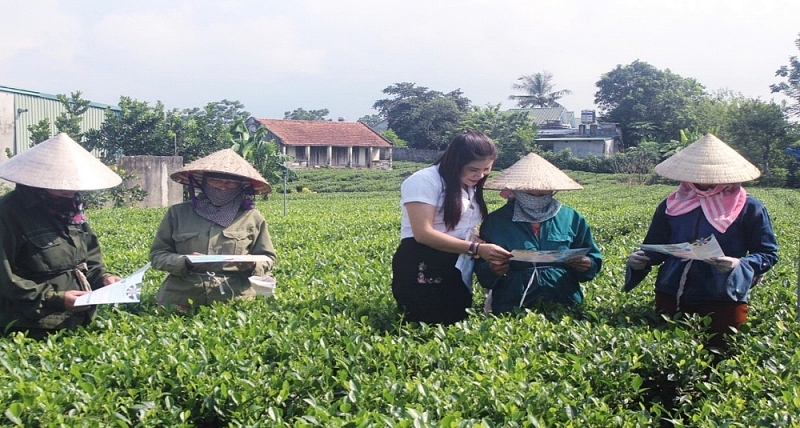 bao hiem xa hoi tinh thai nguyen doan ket trach nhiem phan dau hoan thanh xuat sac nhiem vu