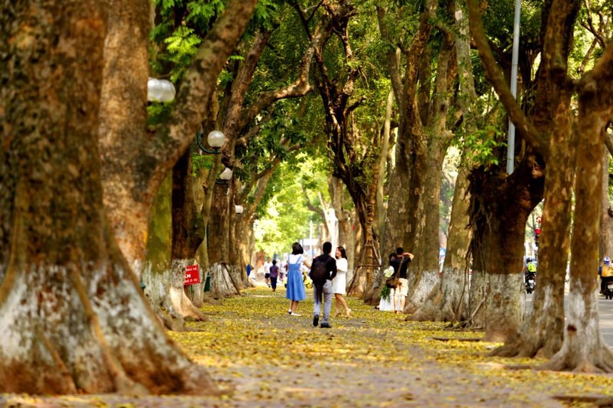 Mùa đi ngang phố