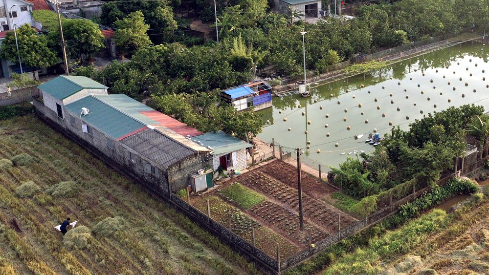 hoa lu ninh binh nguyen bi thu xa tu y chuyen doi hang nghin m2 dat lua va xay dung cong trinh trai phep