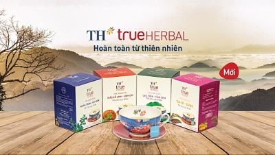 Sau hơn 10 năm chuẩn bị, doanh nhân Thái Hương chính thức bước chân vào lĩnh vực trà thảo dược