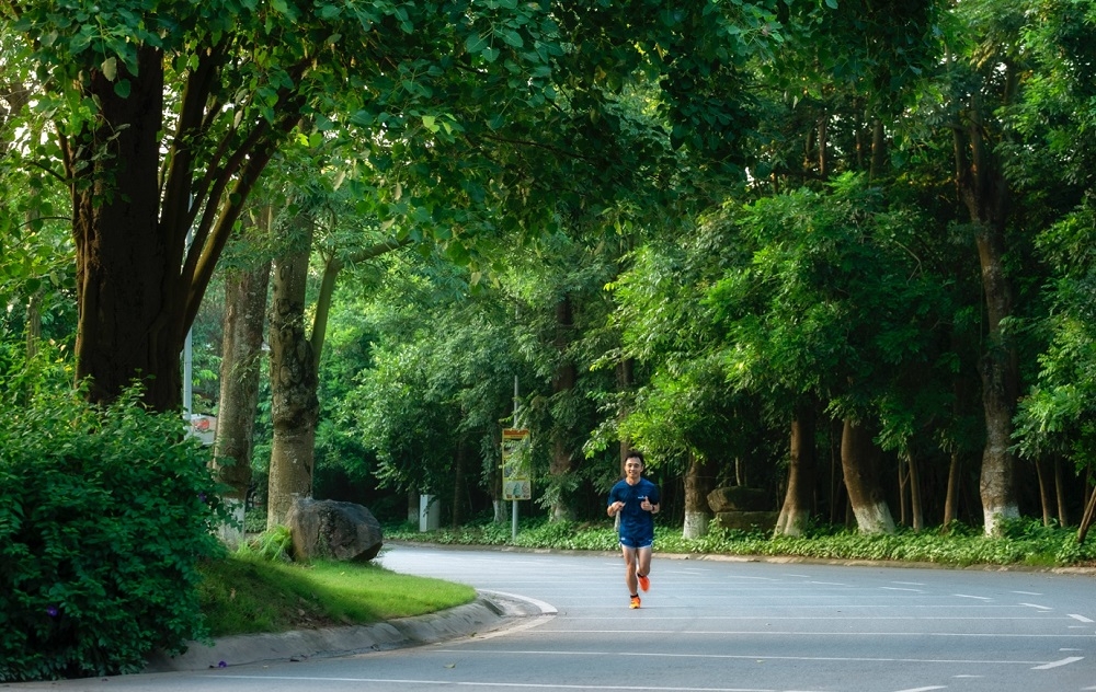 Khách xếp hàng cả cây số để xem nhà mẫu và mua nhà tại Ecopark