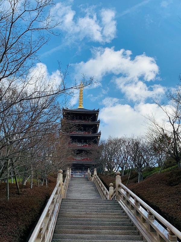 ve mien di san phu tang