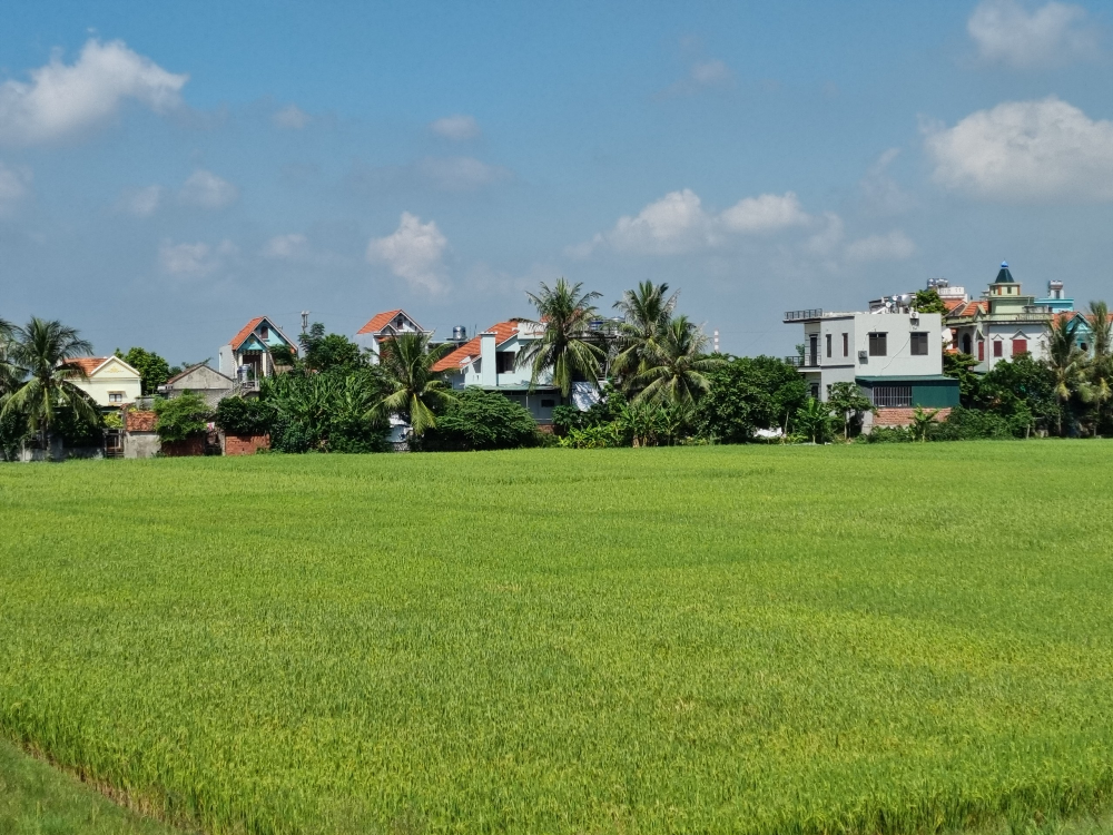 quang ninh thanh lap khu nong nghiep ung dung cong nghe cao