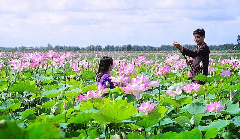 dong thap khoi phuc phat trien du lich thich ung linh hoat diem den an toan