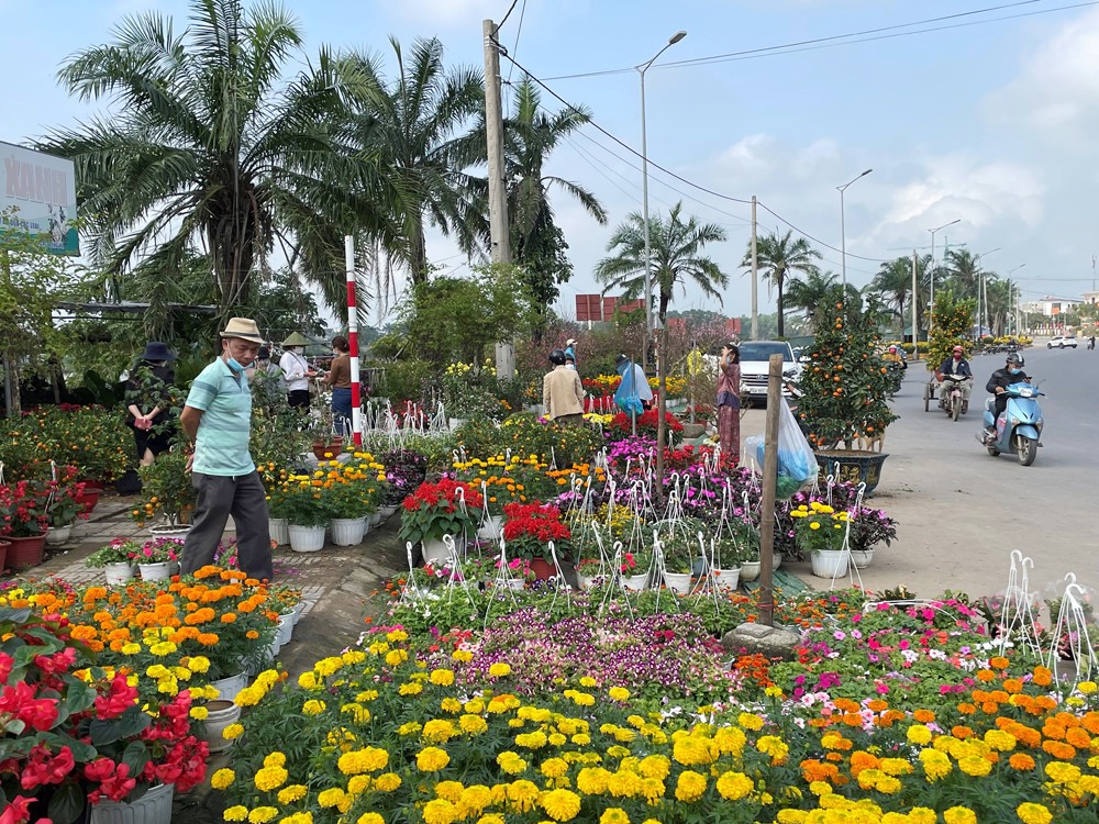 Quảng Trị: Làng hoa An Lạc rộn ràng vào xuân