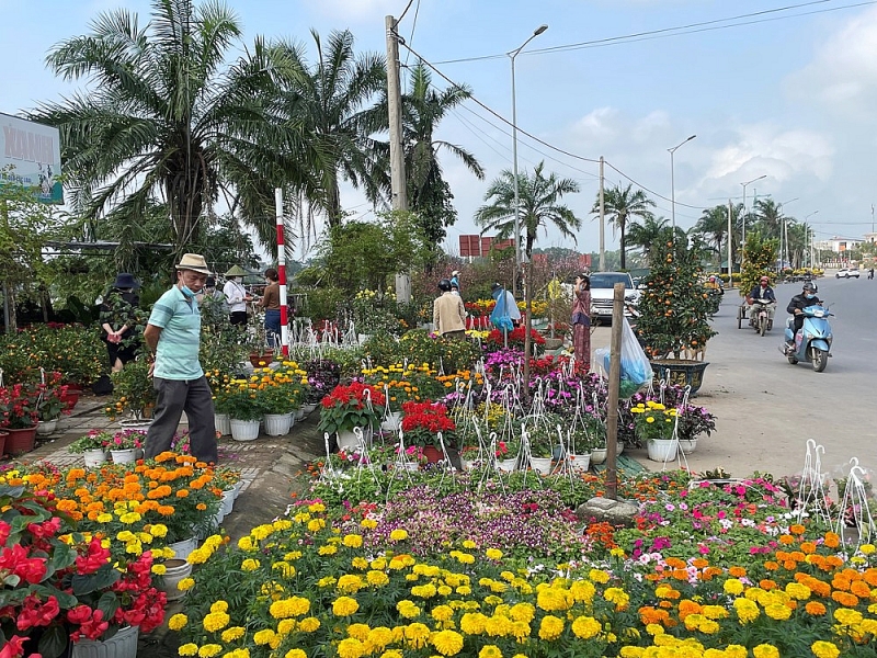 quang tri lang hoa an lac ron rang vao xuan