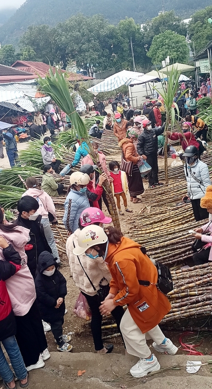 ruc ro sac mau cho tet vung cao