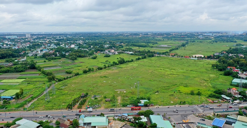 doanh nghiep to cao tham phan vi pham phap luat